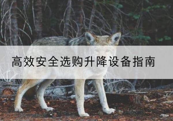 固镇升降货梯厂家推荐-*安全选购升降设备指南