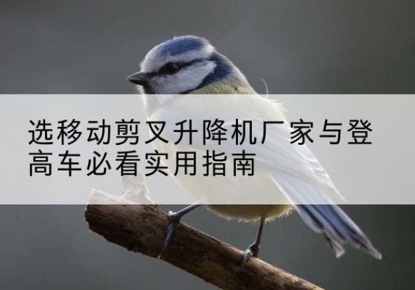 固镇电动升降机厂家-选移动剪叉升降机厂家与登高车必看实用指南