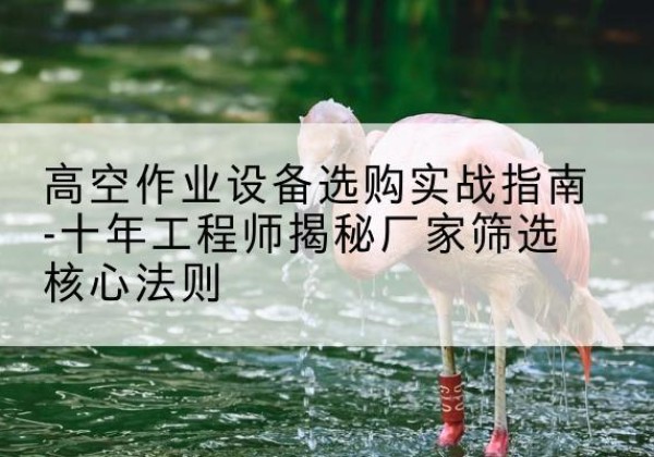 固镇剪叉式升降机厂家-高空作业设备选购实战指南-十年工程师揭秘厂家筛选核心法则